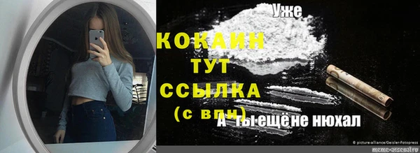 трава Магадан