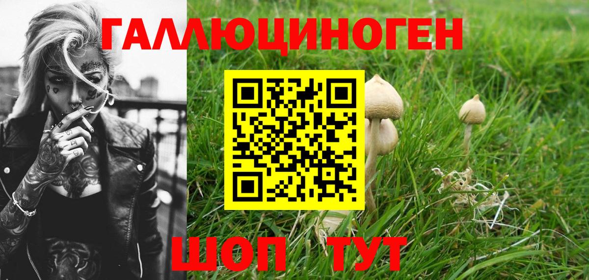 Псилоцибиновые грибы прущие грибы Домодедово