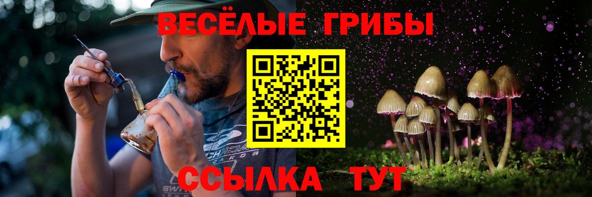 Галлюциногенные грибы ЛСД  Вход с VPN  наркотики  Домодедово 